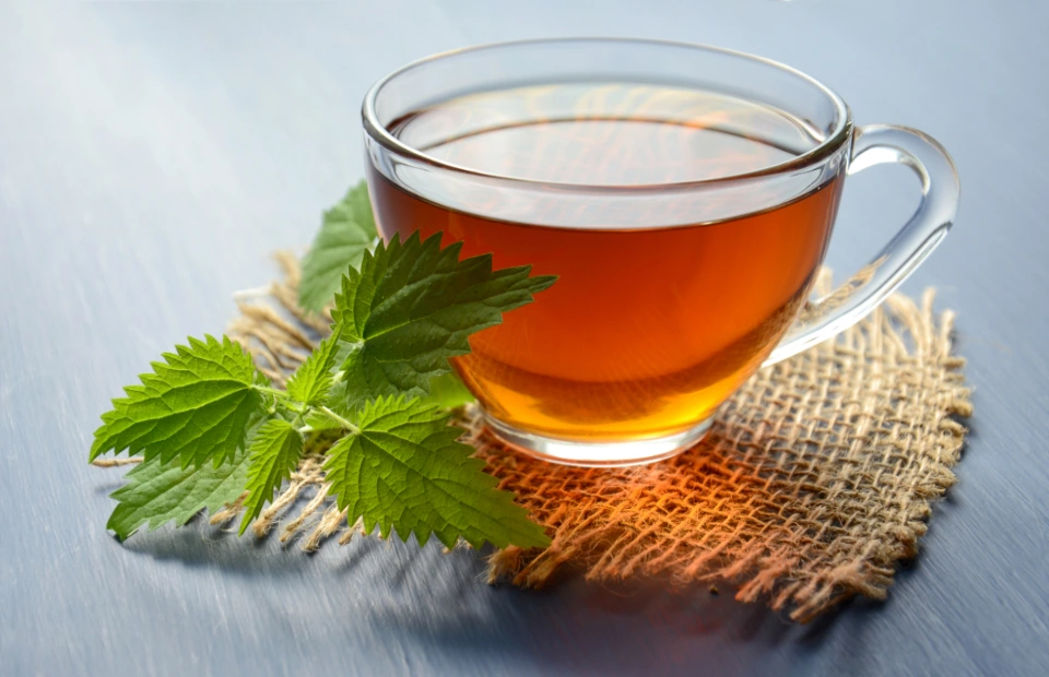 7  Assam Tea Benefits You Should Leverage as a Tea Lover