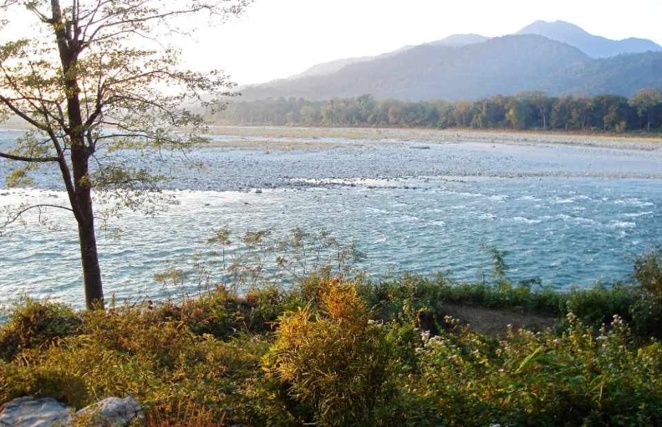 A scenic view of Manas National Park: A site for Heritage Tourism in Assam