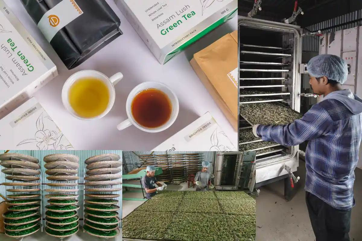 Deroi Tea: A Mission to Retain the Authentic Taste of Assam Tea