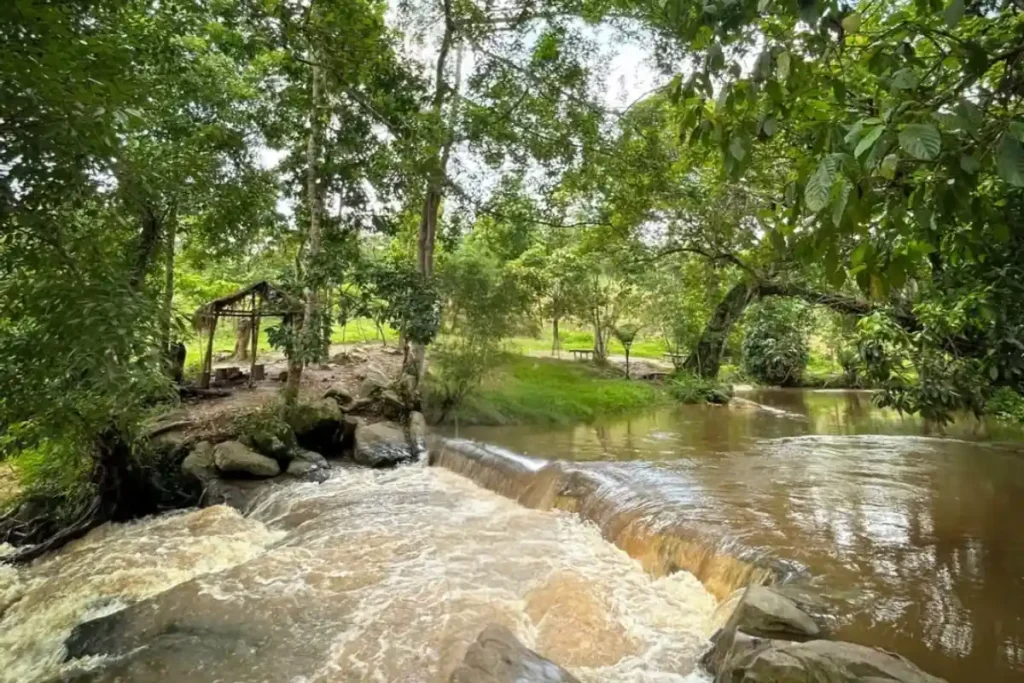 Garbhanga Reserve Forest Guwahati