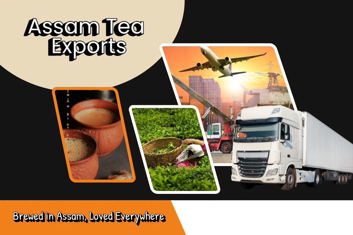 Assam Tea Exports: From Local Brew to Global Fame and Fortune